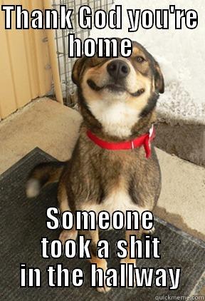 THANK GOD YOU'RE HOME SOMEONE TOOK A SHIT IN THE HALLWAY Good Dog Greg