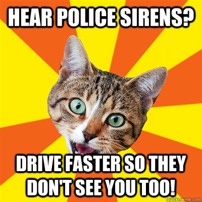 Hear police sirens? Drive faster so they don't see you too!  Bad Advice Cat
