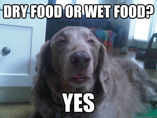 dry food or wet food? yes  