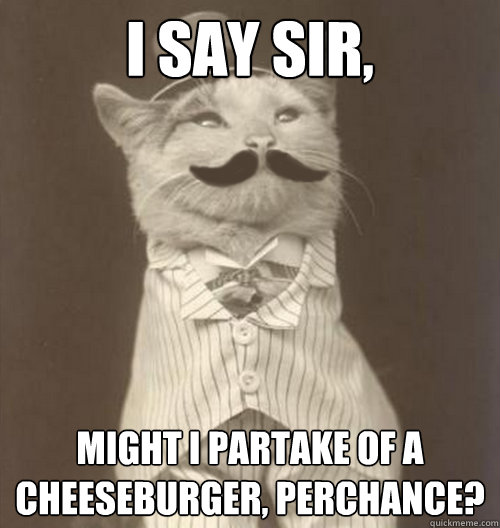 I say sir, might I partake of a cheeseburger, perchance? - I say sir, might I partake of a cheeseburger, perchance?  Original Business Cat