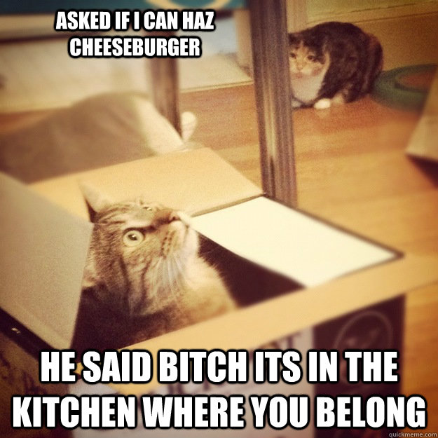 asked if i can haz cheeseburger he said bitch its in the kitchen where you belong  