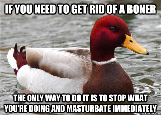 If you need to get rid of a boner the only way to do it is to stop what you're doing and masturbate immediately  Malicious Advice Mallard