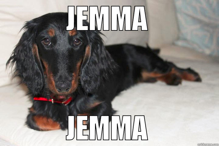 JEMMA JEMMA Misc