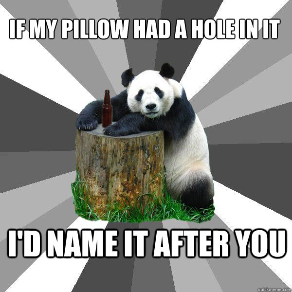 IF MY PILLOW HAD A HOLE IN IT I'D NAME IT AFTER YOU  Pickup-Line Panda