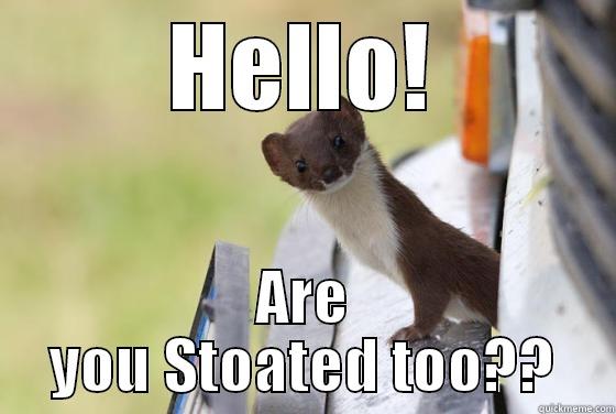 HELLO! ARE YOU STOATED TOO?? Misc