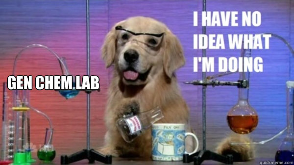 Gen Chem Lab   science dog