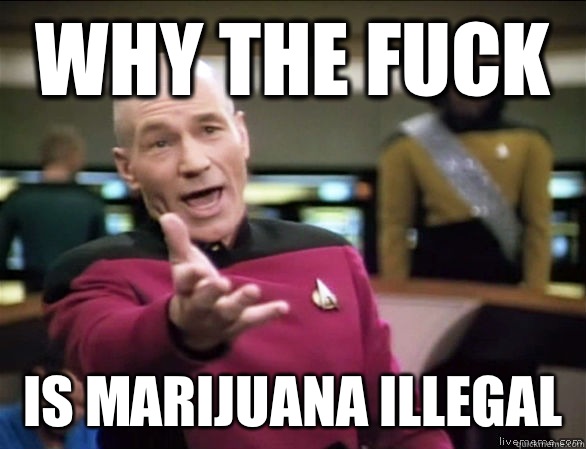 why the fuck is marijuana illegal   Annoyed Picard HD