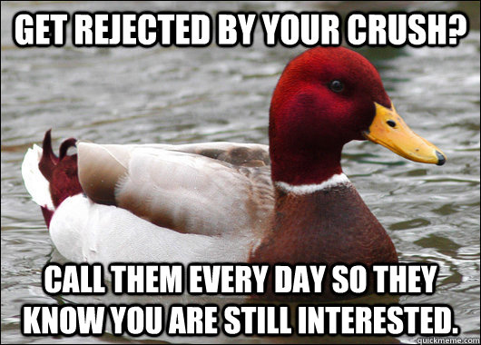 Get Rejected by your crush? Call them every day so they know you are still interested. - Get Rejected by your crush? Call them every day so they know you are still interested.  Malicious Advice Mallard