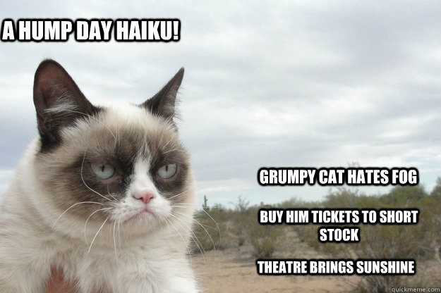 Grumpy cat hates fog buy him tickets to short stock Theatre brings sunshine A Hump day haiku! - Grumpy cat hates fog buy him tickets to short stock Theatre brings sunshine A Hump day haiku!  Misc