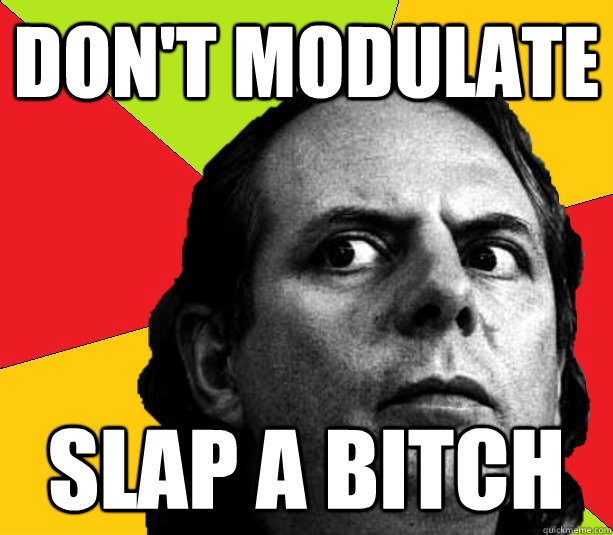 Don't Modulate Slap a Bitch  