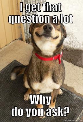 I GET THAT QUESTION A LOT WHY DO YOU ASK? Good Dog Greg
