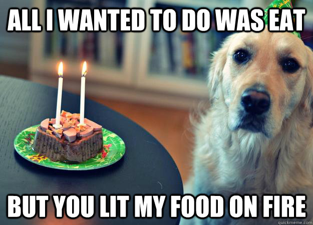 all i wanted to do was eat  but you lit my food on fire  Sad Birthday Dog
