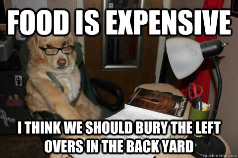 food is expensive I think we should bury the left overs in the back yard  Financial Advice Dog