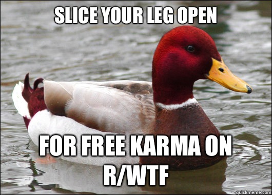 Slice your leg open
 For free karma on r/wtf  Malicious Advice Mallard