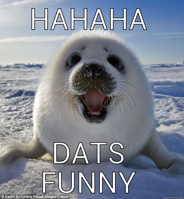 HAHAHA DATS FUNNY Easily Pleased Seal