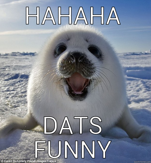 when you hear a funny joke - HAHAHA DATS FUNNY Easily Pleased Seal