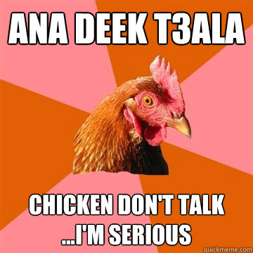 ana deek t3ala chicken don't talk ...i'm serious  Anti-Joke Chicken