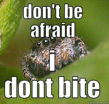 DON'T BE AFRAID I DONT BITE Misunderstood Spider