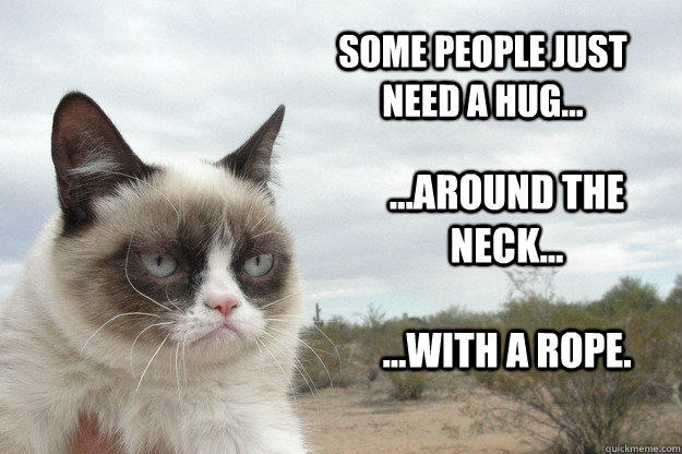 Some people just need a hug... ...around the neck... ...with a rope. - Some people just need a hug... ...around the neck... ...with a rope.  Grump Cat