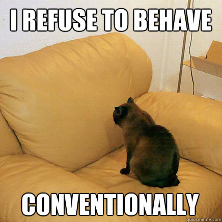 i refuse to behave conventionally - i refuse to behave conventionally  Couch-cat