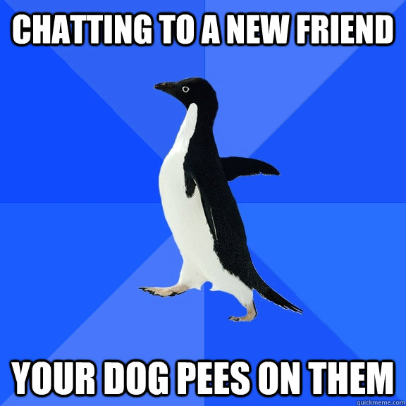 chatting to a new friend your dog pees on them  Socially Awkward Penguin