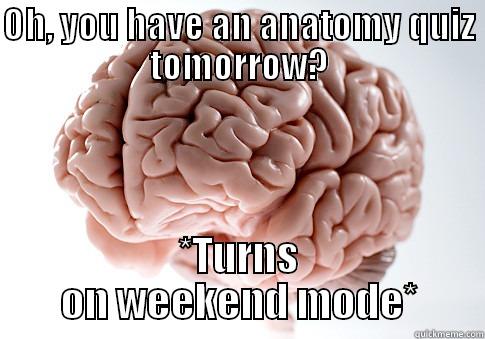OH, YOU HAVE AN ANATOMY QUIZ TOMORROW? *TURNS ON WEEKEND MODE* Scumbag Brain