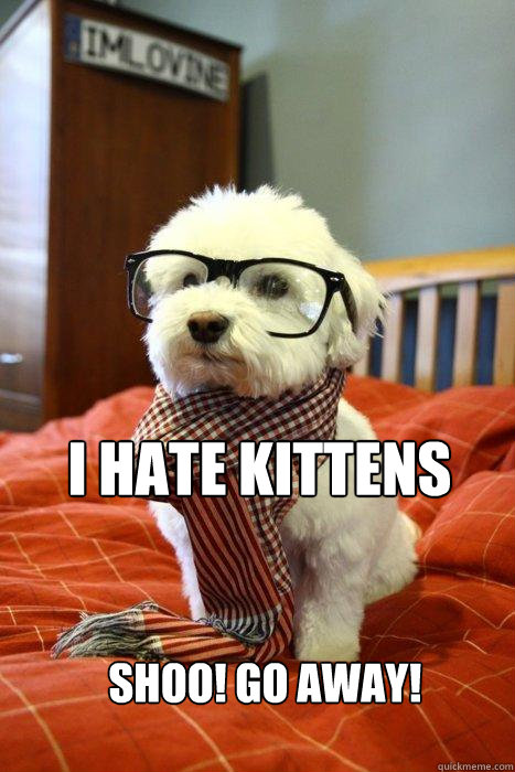 I hate kittens Shoo! go away!  Hipster Dog