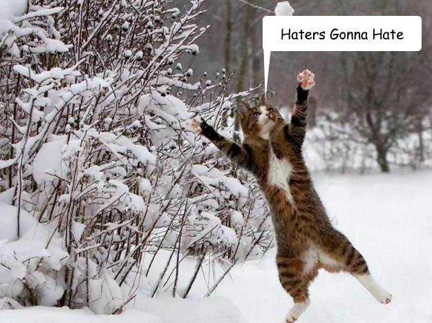 Haters Gonna Hate - Haters Gonna Hate  Cat In Snow