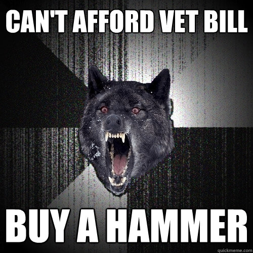 Can't afford vet bill buy a hammer  Insanity Wolf