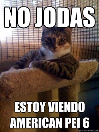 no jodas estoy viendo american pei 6  The Most Interesting Cat in the World