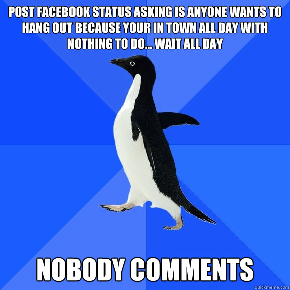 post facebook status asking is anyone wants to hang out because your in town all day with nothing to do... wait all day 
nobody Comments  Socially Awkward Penguin