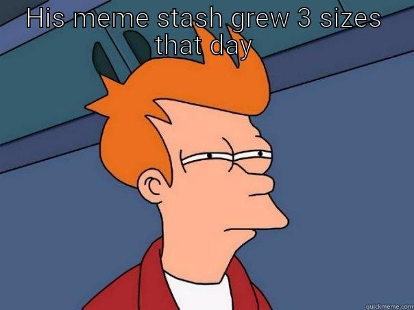 HIS MEME STASH GREW 3 SIZES THAT DAY  Futurama Fry