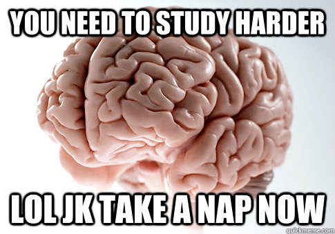 YOU NEED TO STUDY HARDER LOL JK TAKE A NAP NOW  Scumbag Brain