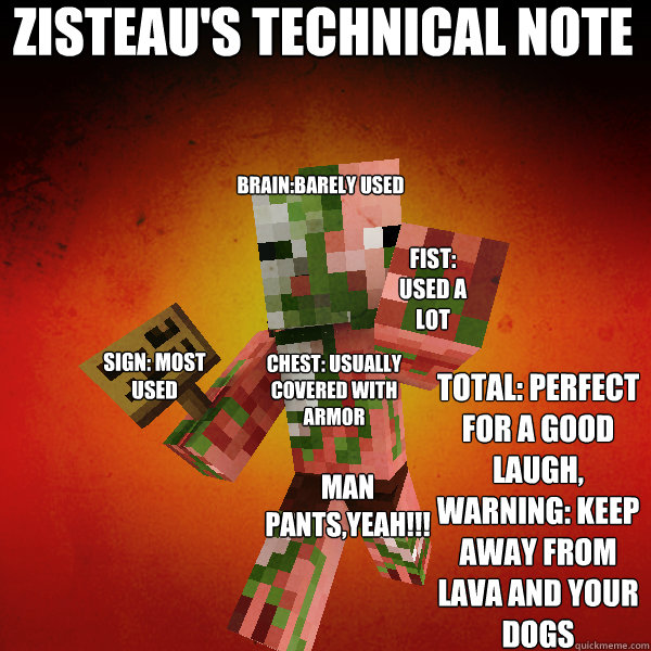 zisteau's technical note brain:barely used sign: most used fist: used a lot chest: usually covered with armor MAN PANTS,YEAH!!!      total: perfect for a good laugh, warning: keep away from lava and your dogs  Zombie Pigman Zisteau