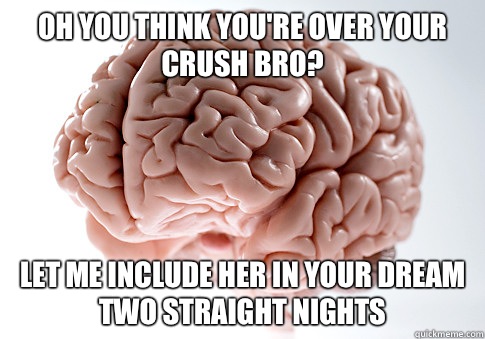 Oh you think you're over your crush bro? Let me include her in your dream two straight nights   Scumbag Brain