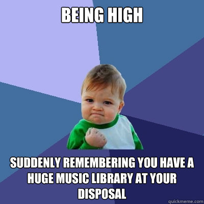 being high suddenly remembering you have a huge music library at your disposal   Success Kid