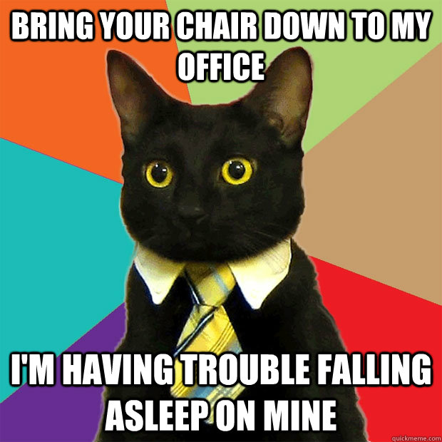 Bring your chair down to my office I'm having trouble falling asleep on mine  Business Cat