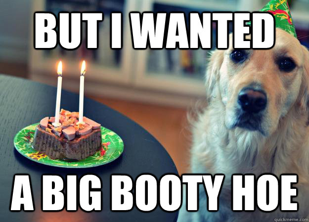 But I wanted A big booty hoe  Sad Birthday Dog