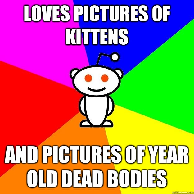 Loves pictures of kittens And pictures of year old dead bodies - Loves pictures of kittens And pictures of year old dead bodies  Reddit Alien