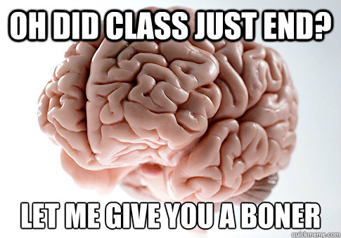 Oh did class just end? Let me give you a boner  Scumbag Brain