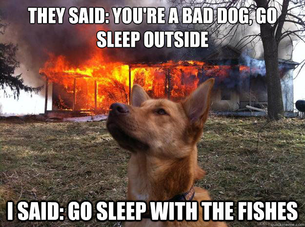 They said: you're a bad dog, go sleep outside I said: go sleep with the fishes  Bad Dog