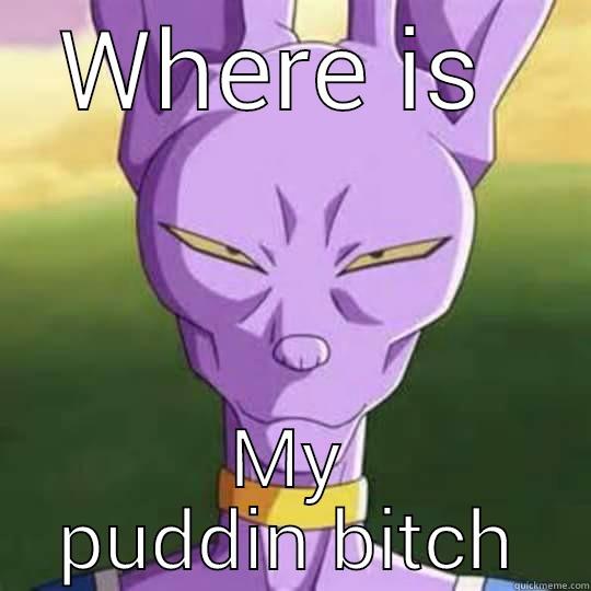 WHERE IS  MY PUDDIN BITCH Misc