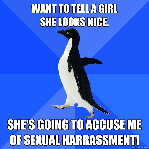 Want to tell a girl
she looks nice. She's going to accuse me of sexual harrassment!  Socially Awkward Penguin