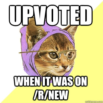 upvoted when it was on /r/new - upvoted when it was on /r/new  Hipster Kitty