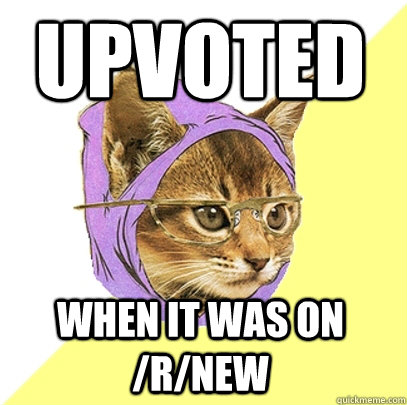 upvoted when it was on /r/new  Hipster Kitty