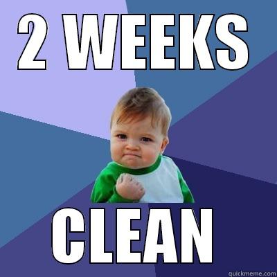 2 WEEKS CLEAN Success Kid