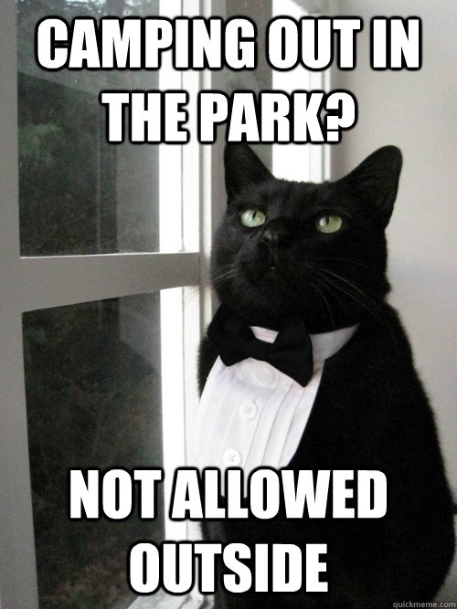 Camping out in the park? Not allowed outside - Camping out in the park? Not allowed outside  One Percent Cat