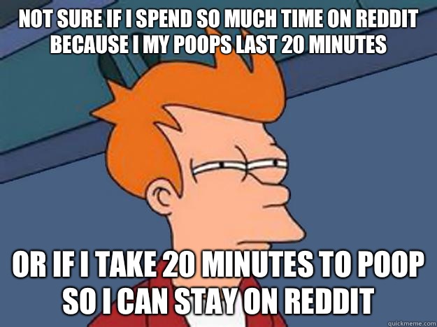 Not sure if I spend so much time on Reddit because I my poops last 20 minutes or if I take 20 minutes to poop so I can stay on Reddit  Unsure Fry