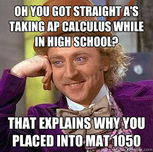 oh you got straight a's taking ap calculus while in high school? that explains why you placed into mat 1050 - oh you got straight a's taking ap calculus while in high school? that explains why you placed into mat 1050  Condescending Wonka