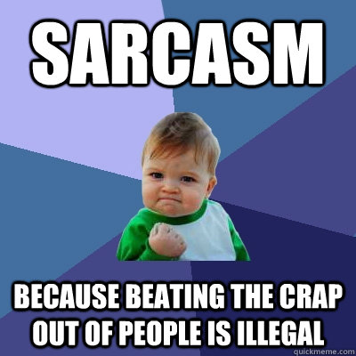 SARCASM because beating the crap out of people is illegal  Success Kid